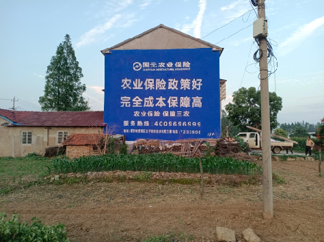 封丘墙体广告为何受追捧？